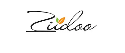 ZIIDOO
