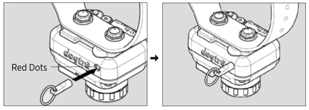 dogtra SKU17079 STB Beeper Collar -System On