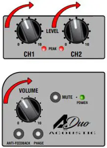 Laney A-DUO Acoustic Guitar Amplifier - SET LEVELS