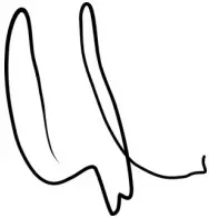 Laney A-DUO Acoustic Guitar Amplifier - sing