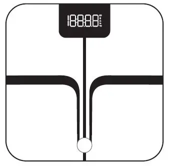 Guangdong Welland Technology FI2016WB Smart Body Fat Scale