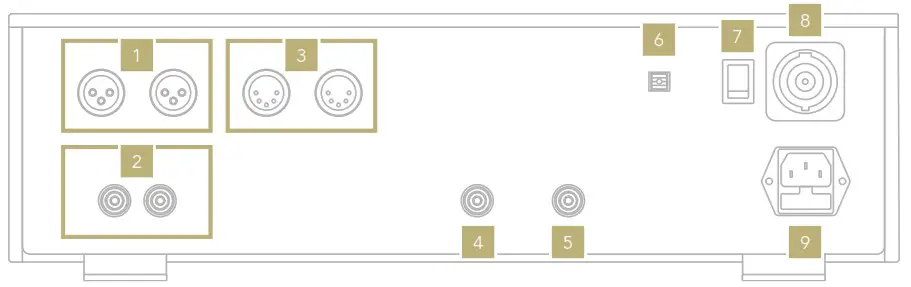 GOLD NOTE CD 1000 CD Player High End Studios - REAR PANEL
