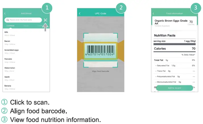 Weighting and Recording Food
