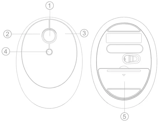 Scroll Wheel/Middle Button