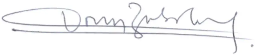 BOSCH GSB 16 RE Professional Cordless Impact Driver Drill - Signeture 1