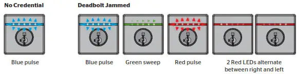 Light String Notifications 2