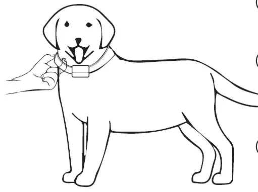 PATPET B301 Smart Bark Control Device 2