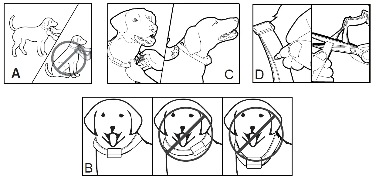 PATPET B301 Smart Bark Control Device 9