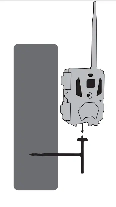 ‎Bushnell 119904V Cellucore 20 Trail Camera-10