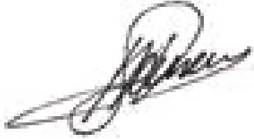 BATAVIA BT-CLB001 18V Battery One-Hand Saw icon 1