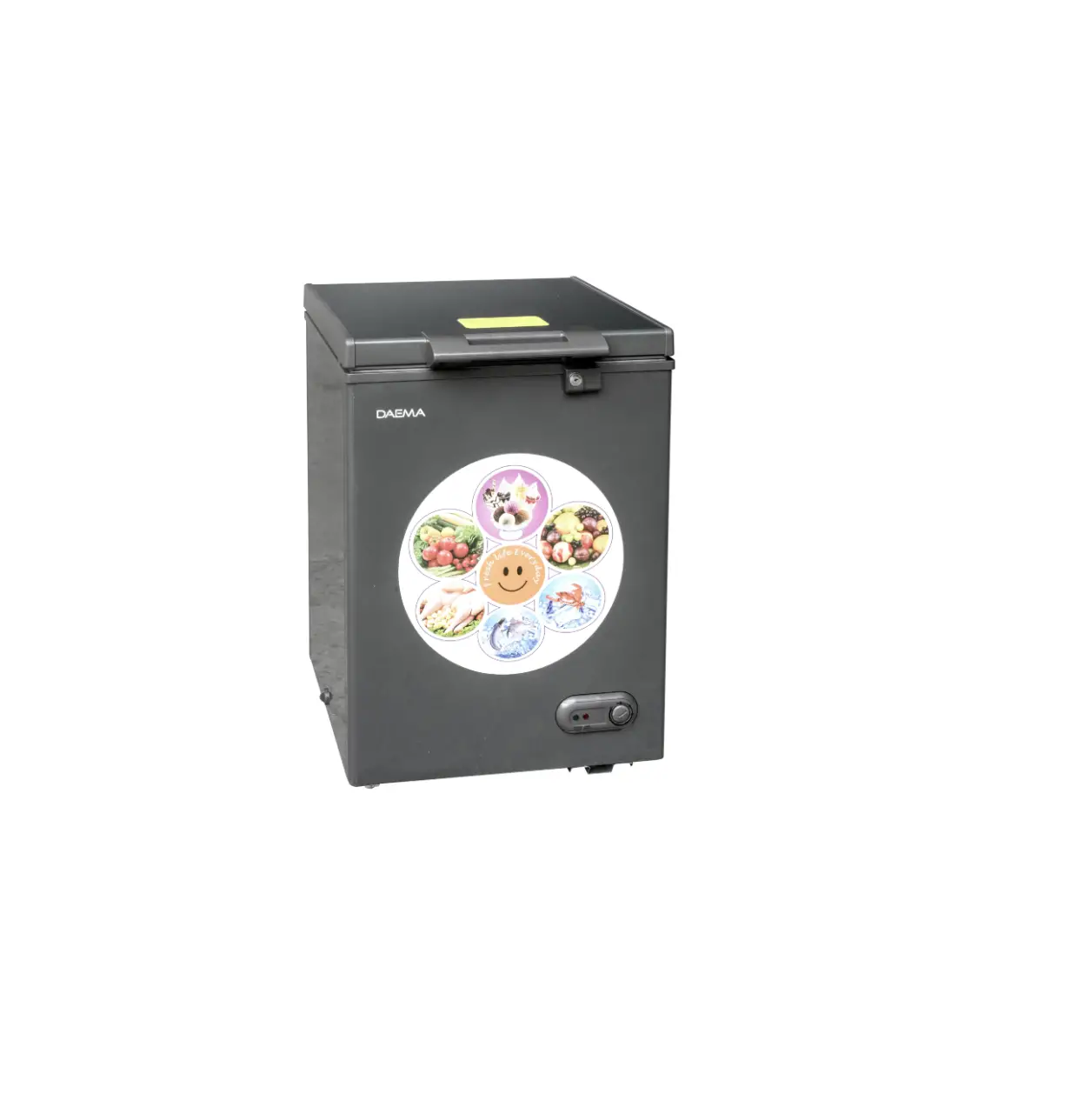 Daema Dfz-3301cg Chest Freezer User Manual