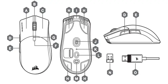 GETTING TO KNOW YOUR MOUSE