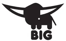 BIG - logo