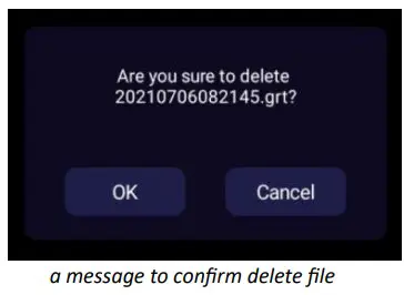 GRT GRE GM 250 Great Neutron 3D Metal Detector - Fig 18