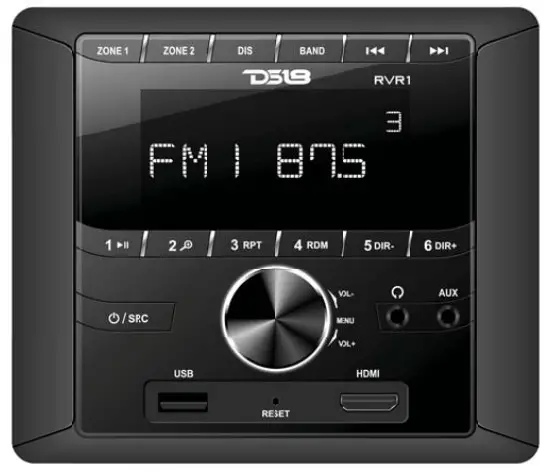 DS18 RVR1 2-Zone Wall Mount Stereo Receiver