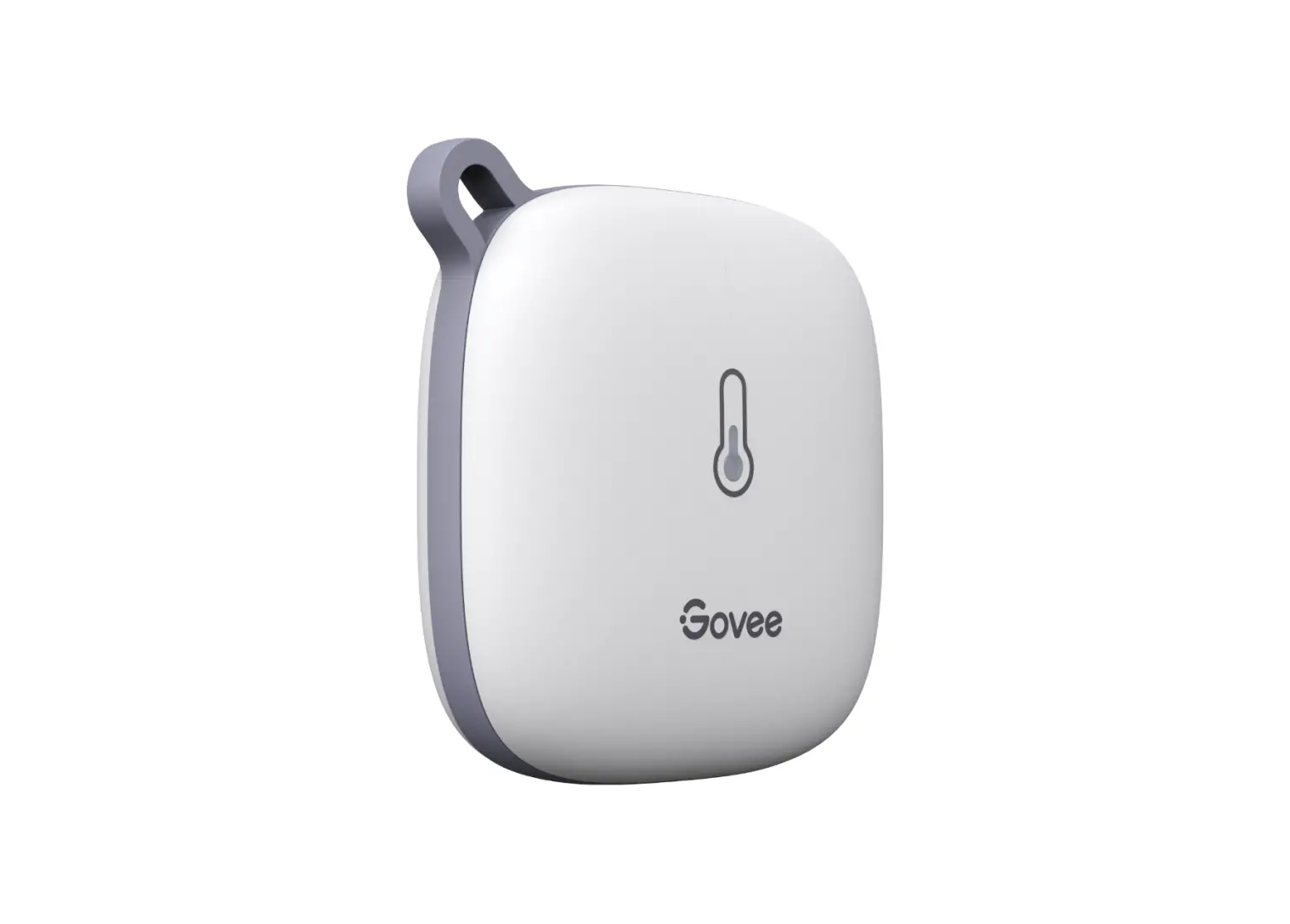 Govee H5179 Smart Thermo-hygrometer User Manual