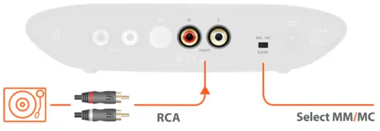 ifi Zen Air Phono Stage for Vinyl Addicts - Input