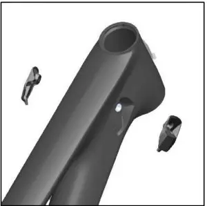 a bird flying in the sky