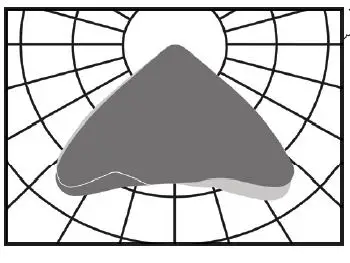 PrimeLine BRAUN Lighting Solutions 4