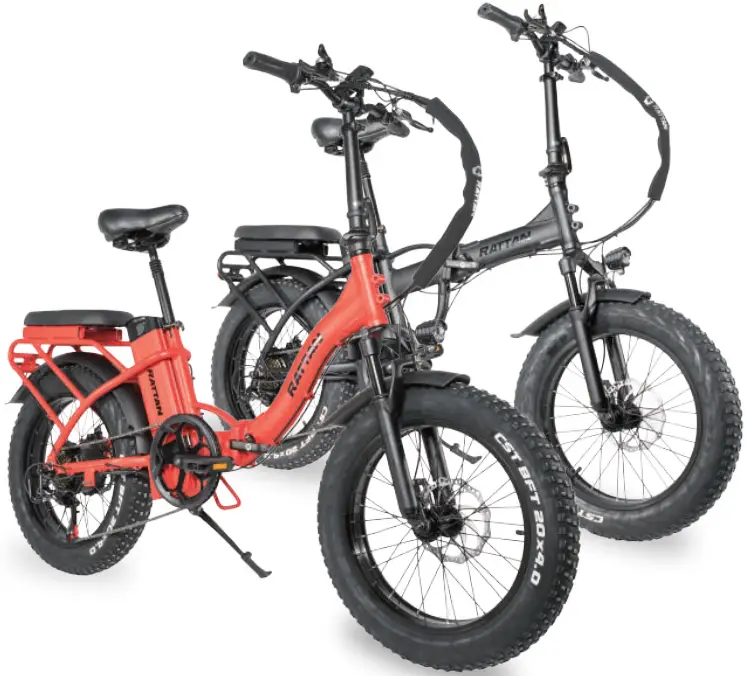 RATTAN LF 750W Step Through Foldable Fat Tire Ebike