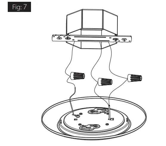 RAB-DISK34-6-Inch-Disk-10