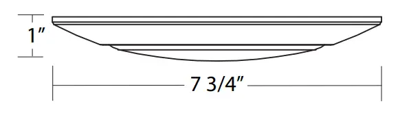 RAB-DISK34-6-Inch-Disk-3