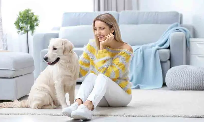 WOPET D01 Dog Treat Camera and Treat Dispenser - Fig