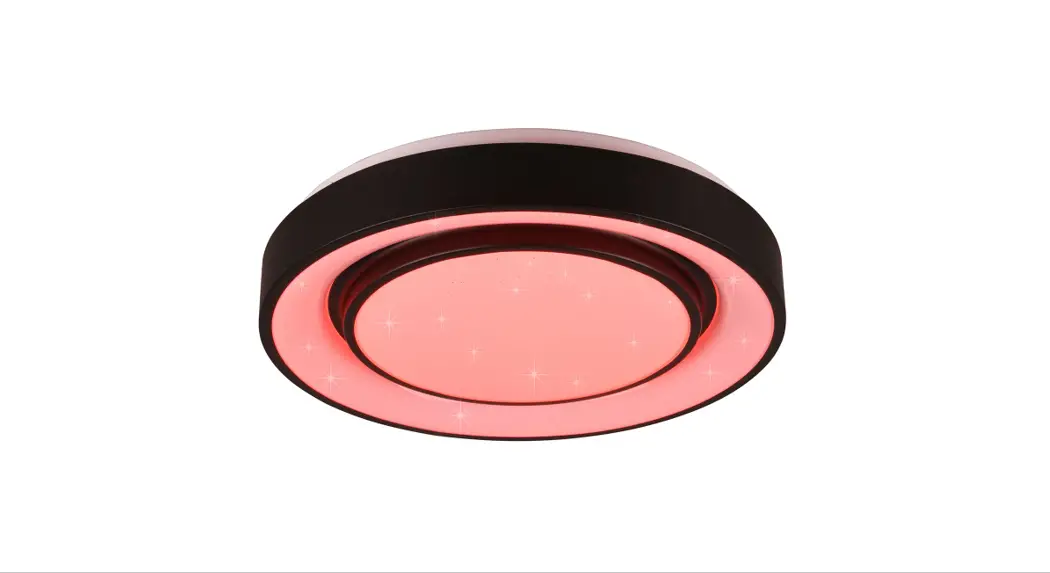 Leuchten Direkt 12092-55 Led Ceiling Light Instruction Manual