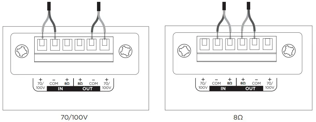 BOSCH DesignMax DM10P SUB Pendant Loudspeaker - Connection Diagrams