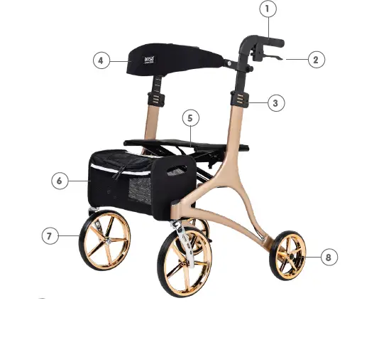 ANSA-VIVA-Seat-Walker -FIG- (1)