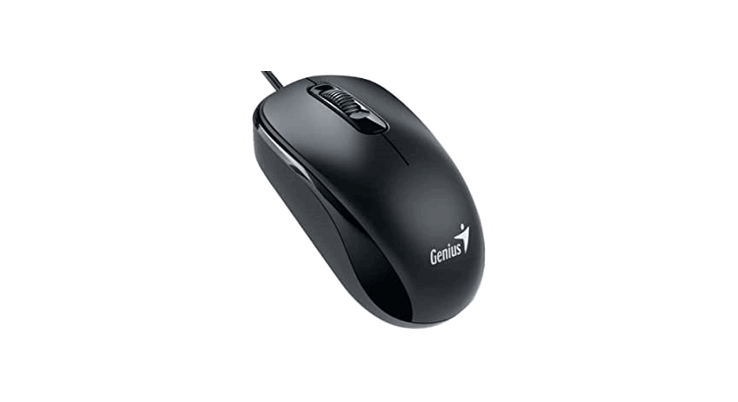 Genius Gmzm6 Ergonomic Wireless Silent Mouse User Guide