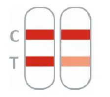 nal-252017N-05-NADAL-Mononucleosis-Test-1