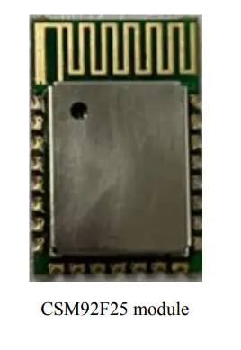 CHIPSEA CSM92F25 Bluetooth Module fig2