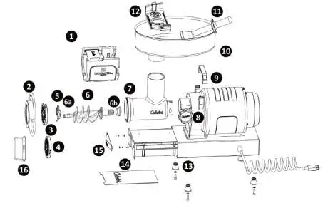 ggm gastro FMFC550 12 Commercial Meat Mincer - GETTING TO KNOW YOUR CARNIVORE MEAT GRINDER