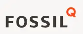 Fossil-Touch-screen-smart-watches-Use- Manual-logo