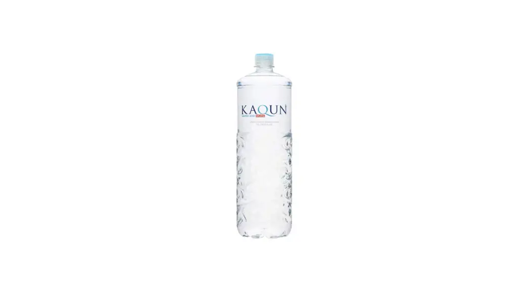 Bodyhealth Kaqun Water Bottle User Guide