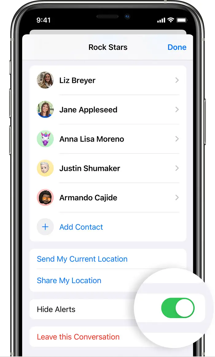 iPhone showing the screen where you can turn on Hide Alerts.
