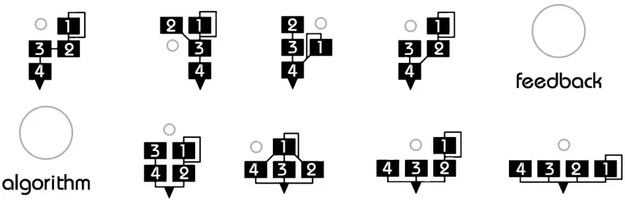 Algorithms & Feedback