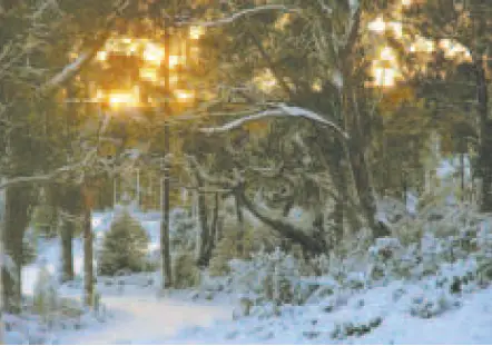 Flexradio Flex-3000 Software Defined Radio 03