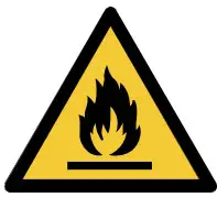 Fire Icon