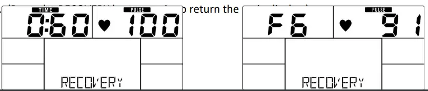 BodyMax CVEB2710 60 Recumbent Bike - RECOVERY