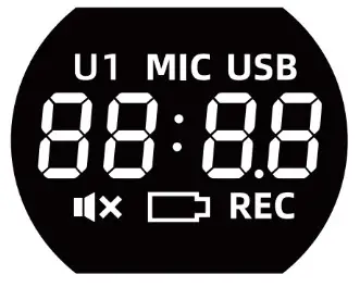 Shenzhen Winwin Technology S388 Voice Amplifier