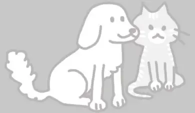 POGME BRO WIFI01 Smart Scale