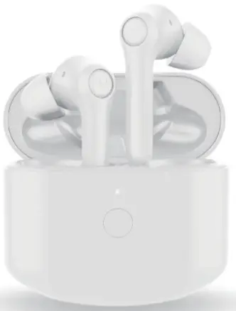 Shenzhen D Fast Technology 2MNTW0398 True Wireless Earphones