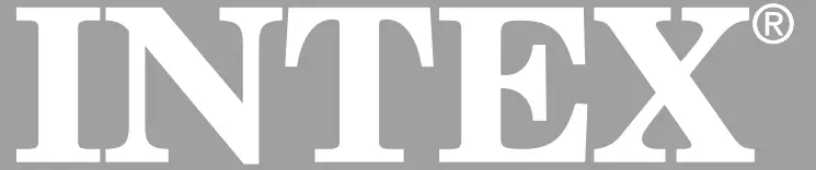 INTEX-CS3110-Salt-Water-System-LOGO