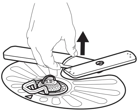 Cleaning the lower spray arm