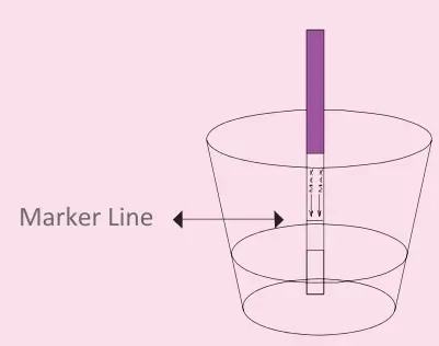 easy-Home-B00DOJWJ3U-Pregnancy-Testing-Strips-FIG-2