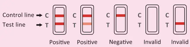 easy-Home-B00DOJWJ3U-Pregnancy-Testing-Strips-FIG-3