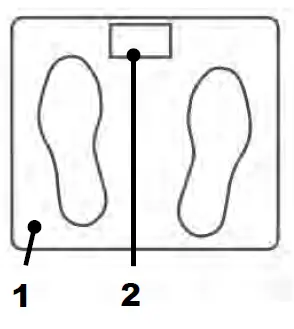 normann-ASB-461-Bathroom-Scale-fig 1