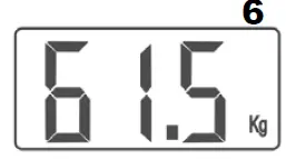 normann-ASB-461-Bathroom-Scale-fig 3